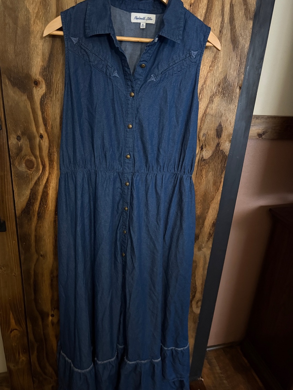 Panhandle Slim Sleeveless Button-Front Denim Maxi Dress in Dark Blue